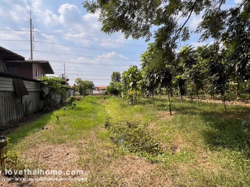 ขายที่ดิน ติดถนนเพชรเกษม ต.อ่างทอง จ.ราชบุรี พื้นที่ 3-2-3 ไร่ ใกล้แยกชินสีห์ แปลงสวย ราคาถูกเหมาะลงทุน
