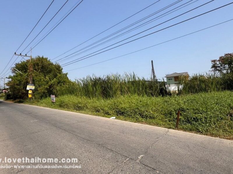 ขายที่ดิน ถนนรังสิต-นครนายก17 พื้นที่ 100 ตรว. ใกล้ห้างฟิวเจอร์พาร์ค รังสิต แปลงสวย ราคาถูกในย่านนั้น