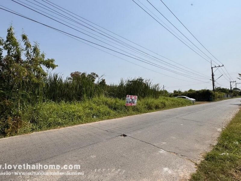 ขายที่ดิน ถนนรังสิต-นครนายก17 พื้นที่ 100 ตรว. ใกล้ห้างฟิวเจอร์พาร์ค รังสิต แปลงสวย ราคาถูกในย่านนั้น