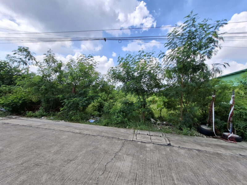 ขาย ที่ดิน ซ.สวนหลวง22 กระทุ่มแบน 384 ตรว ใกล้ ถ.เศรษฐกิจ 1 แค่ 2.1 กม. CC