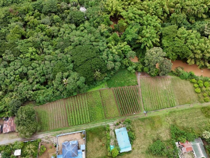 ที่ดินติดริมน้ำวิวเขาปากช่อง.( 3-3-12 ไร่.)( 5,500 บ./ตร.วา ) | ( น.ส.3ก ) หายาก ราคาพิเศษ!!