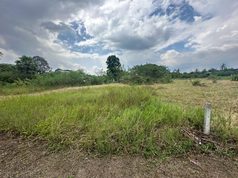 ขายที่ดินหลังสถานีรถไฟความเร็วสูงปากช่อง บ.เขาเสด็จ / ท่างอย | ใกล้ริมน้ำ & วิวเขา ( น.ส.3ก ) ราคาพิเศษ!!