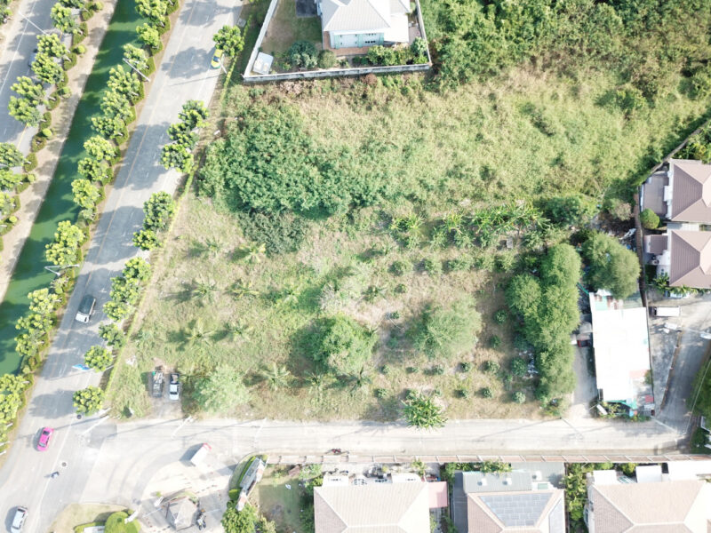 ขาย ถูกที่สุด ที่ดิน ริมถ.พุทธมณฑลสาย 1 ขนาด 774 ตรว CC