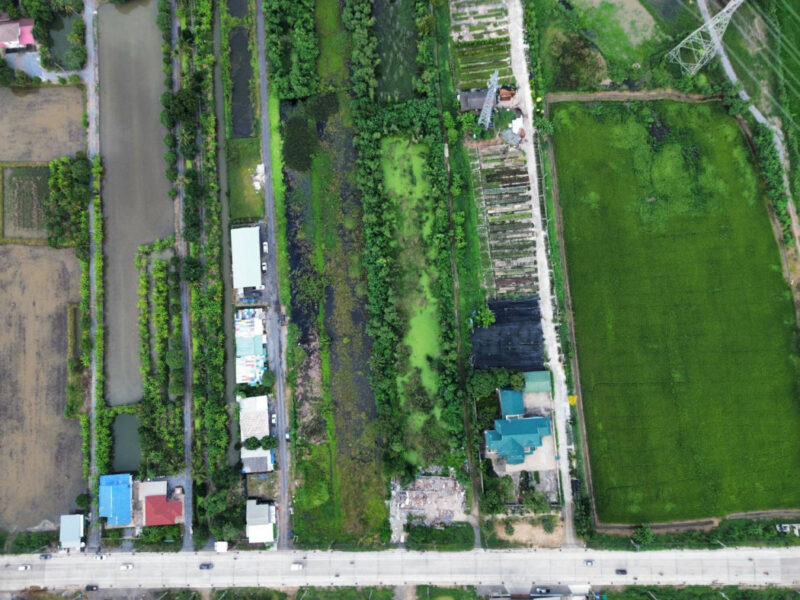 ขาย ที่ดิน ติดถนนบ้านกล้วย-ไทรน้อย 19 ไร่กว่า เหมาะทำจัดสรร CC