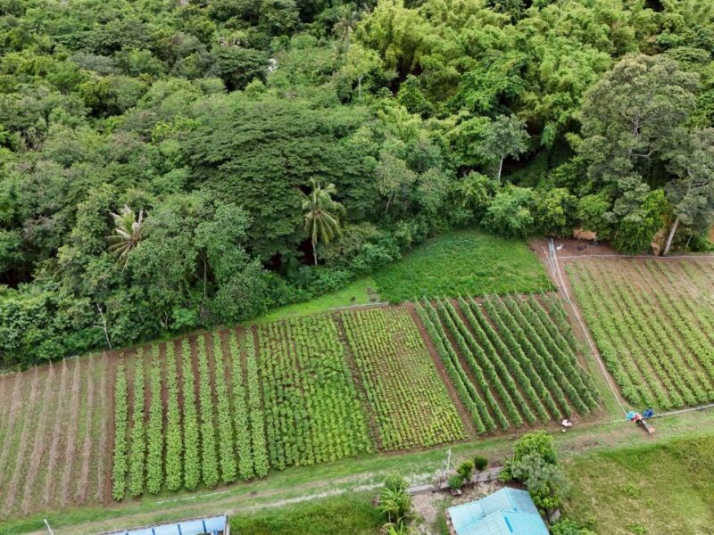 ที่ดินติดริมน้ำวิวเขาปากช่อง.( 3-3-12 ไร่.)( 5,500 บ./ตร.วา ) | ( น.ส.3ก ) หายาก ราคาพิเศษ!!