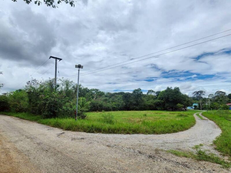 ขายที่ดินหลังสถานีรถไฟความเร็วสูงปากช่อง บ.เขาเสด็จ / ท่างอย | ใกล้ริมน้ำ & วิวเขา ( น.ส.3ก ) ราคาพิเศษ!!