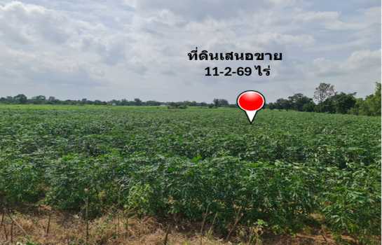 ขาย ที่ดิน ย่านบ้านบุ่งตะแบก อ.โนนไทย จ.นครราชสีมา ห่างจากถนนคอนกรีตแค่ 300 ม. เนื้อที่ 11 ไร่ 2 งาน 69 ตรว ฟรีโอน ลดราคาอีก อยากขายด่วน.