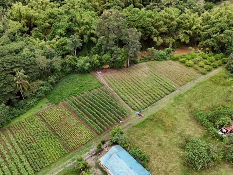 ที่ดินติดริมน้ำวิวเขาปากช่อง.( 3-3-12 ไร่.)( 5,500 บ./ตร.วา ) | ( น.ส.3ก ) หายาก ราคาพิเศษ!!