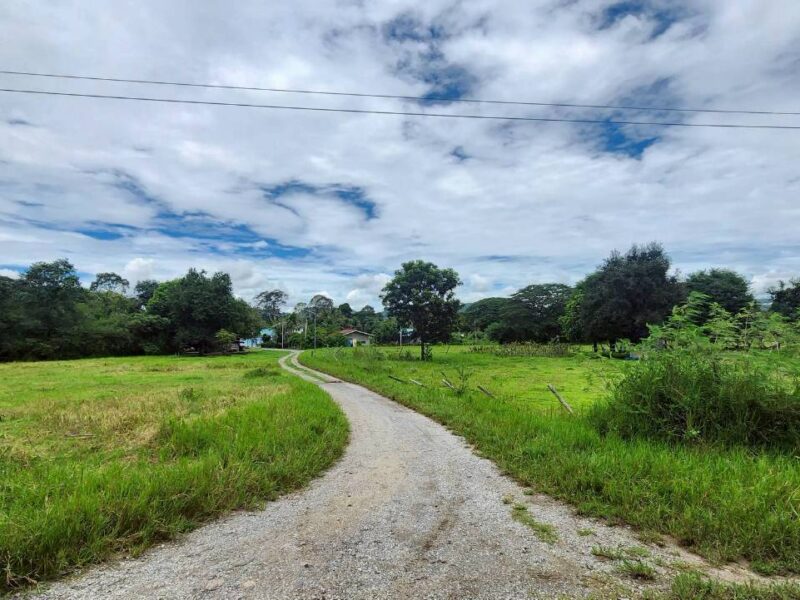 ขายที่ดินหลังสถานีรถไฟความเร็วสูงปากช่อง บ.เขาเสด็จ / ท่างอย | ใกล้ริมน้ำ & วิวเขา ( น.ส.3ก ) ราคาพิเศษ!!