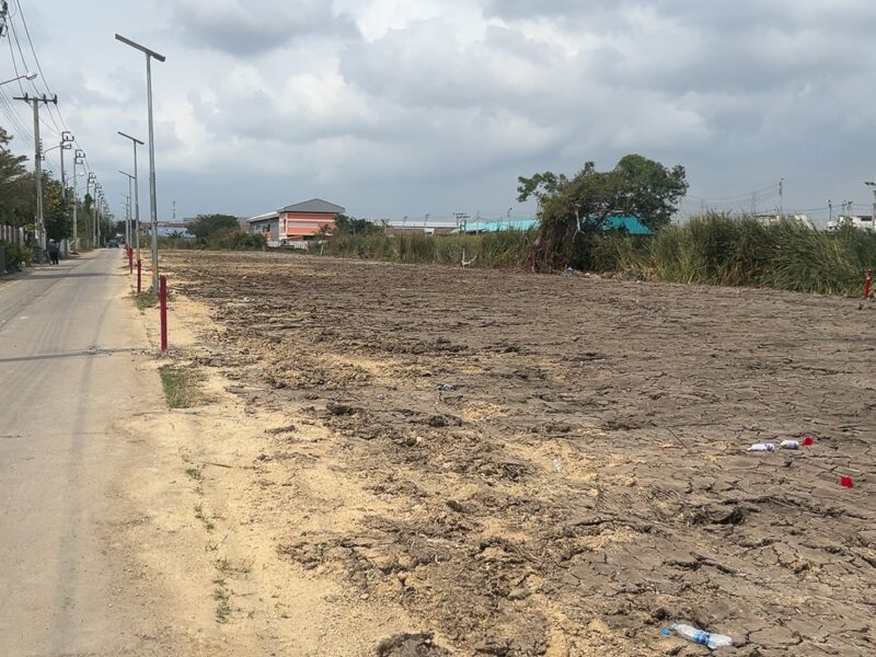 ขายด่วนที่ดิน 86 ตร.ว. สมุทรปราการ ถมแล้ว พร้อมปลูกสร้าง ทำเลดี ใกล้สิ่งอำนวยความสะดวก เจ้าของขายเองc