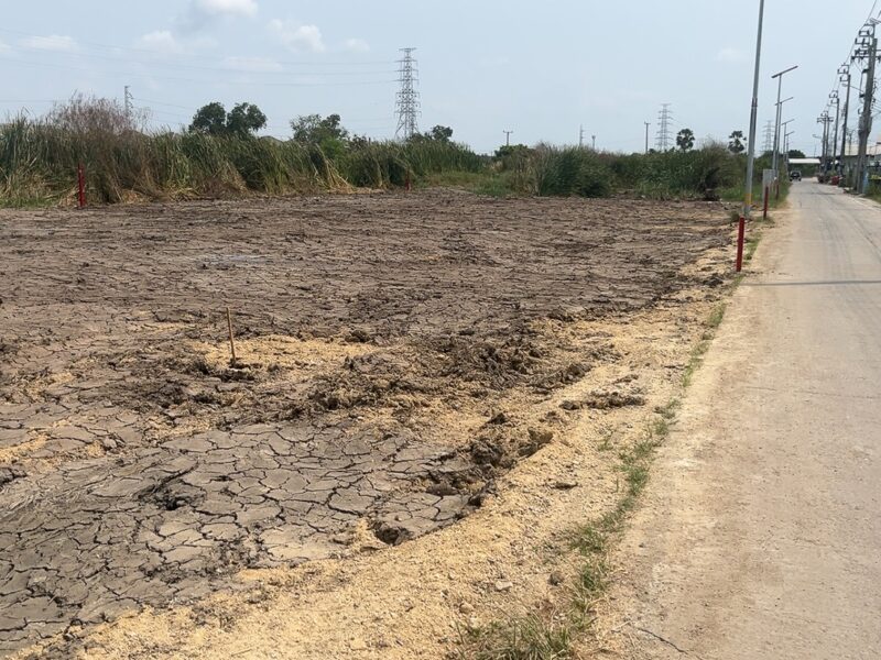 ขายด่วนที่ดิน 86 ตร.ว. สมุทรปราการ ถมแล้ว พร้อมปลูกสร้าง ทำเลดี ใกล้สิ่งอำนวยความสะดวก เจ้าของขายเองc