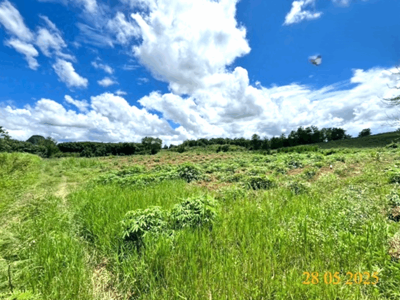 ขายที่ดิน 18 ไร่ วิวภูเขา ติดห้วยสาธารณะ อ.เวียงชัย จ.เชียงราย