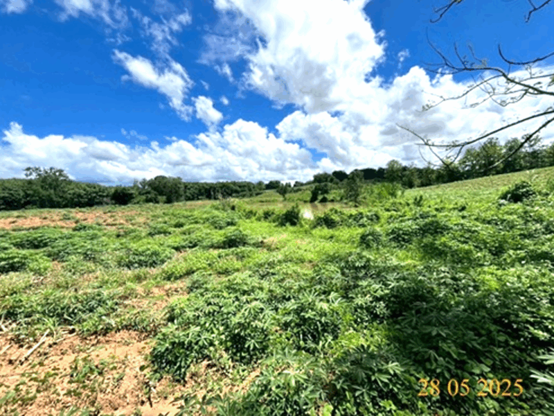 ขายที่ดิน 18 ไร่ วิวภูเขา ติดห้วยสาธารณะ อ.เวียงชัย จ.เชียงราย
