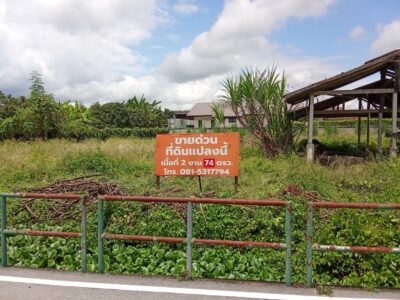 ขายที่ดิน ตำบลอุโมงค์ จังหวัดลำพูน