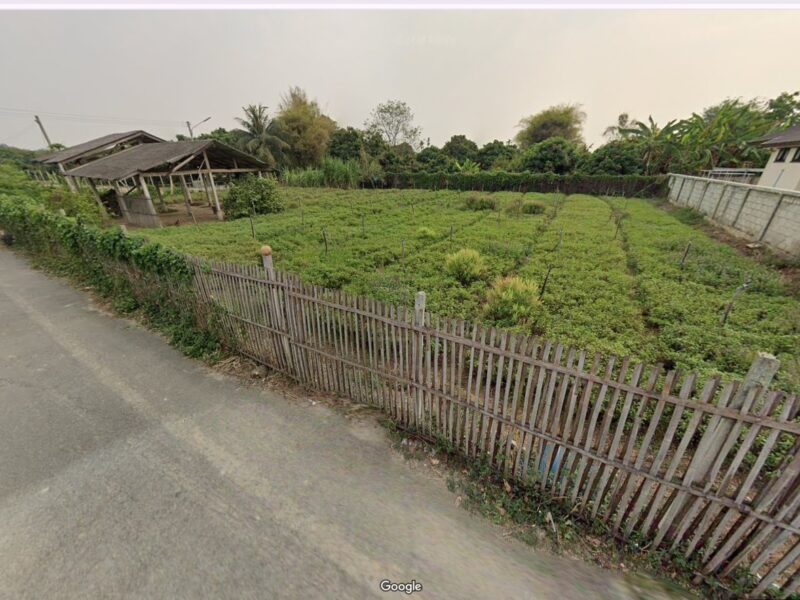 ขายที่ดิน ตำบลอุโมงค์ จังหวัดลำพูน