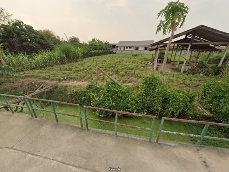 ขายที่ดิน ตำบลอุโมงค์ จังหวัดลำพูน