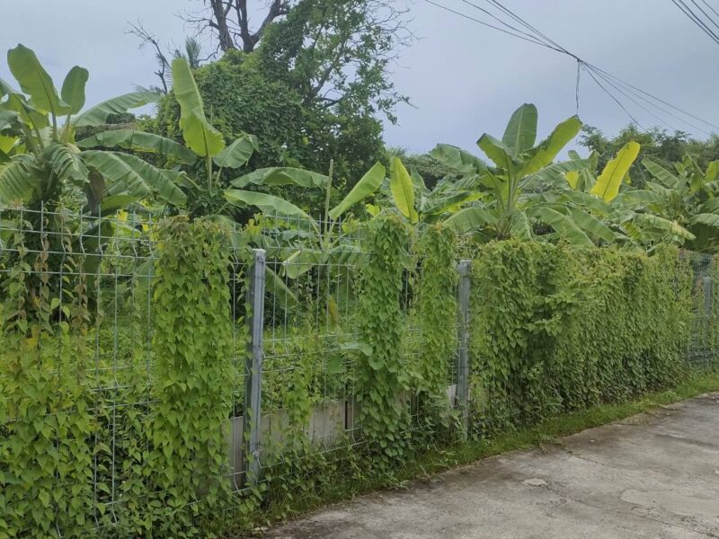 ขายที่ดินเปล่าถมแล้วในถนนลาดพร้าวซอย 48 กรุงเทพมหานคร
