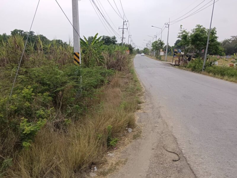 ขายที่ดินเปล่าในอำเภอบางน้ำเปี้ยว จังหวัดฉะเชิงเทรา