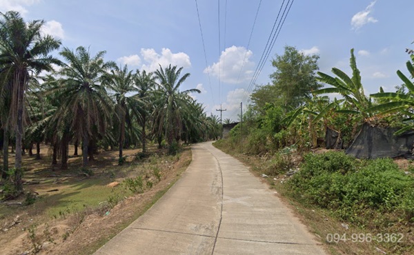 ขายที่ดิน 2 แปลงติดกัน (2 โฉนด) ต.ปกาสัย อ.เหนือคลอง จ.กระบี่ ทำเลดี ติดถนนเพชรเกษม Tel 094-996-3362