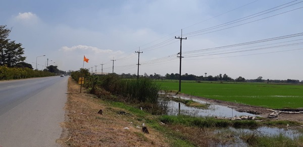 ขายที่ดินติดถนน เแปลงใหญ่สวย ติดถนนสาย 347 ปทุมธานี-บางปะหัน ต.บางประแดง อ.บางประอิน จ.พระนครศรีอยุธยา กม. 29-30 โทร 095-8299247