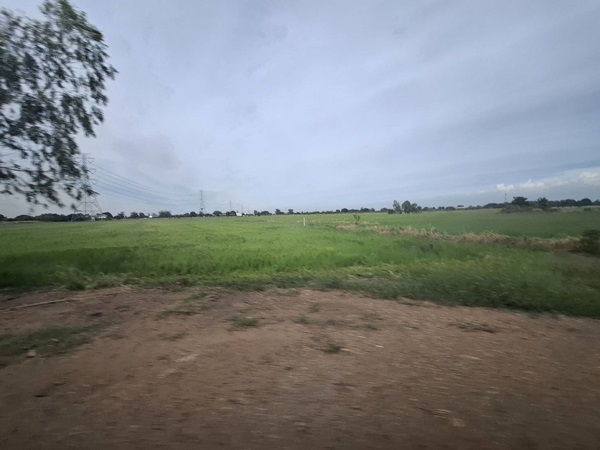 ขายที่ดินติดถนน เแปลงใหญ่สวย ติดถนนสาย 347 ปทุมธานี-บางปะหัน ต.บางประแดง อ.บางประอิน จ.พระนครศรีอยุธยา กม. 29-30 โทร 095-8299247
