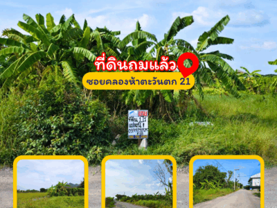 ขายที่ดินซอยคลองห้าตะวันตก 21 ปทุมธานี