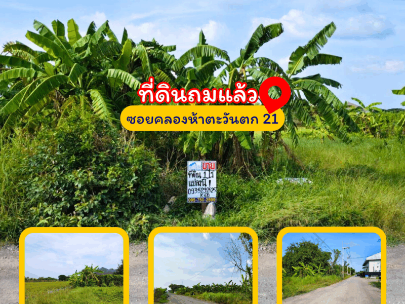 ขายที่ดินซอยคลองห้าตะวันตก 21 ปทุมธานี