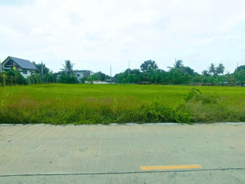 ขายที่ดินทำเลทอง บางหลวงใกล้ถนนราชพฤกษ์–346 ตัดใหม่