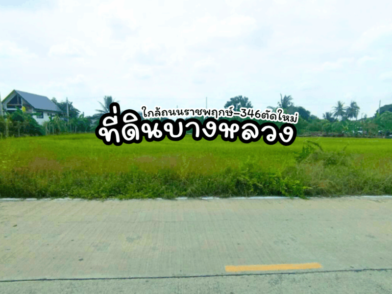 ขายที่ดินทำเลทอง บางหลวงใกล้ถนนราชพฤกษ์–346 ตัดใหม่