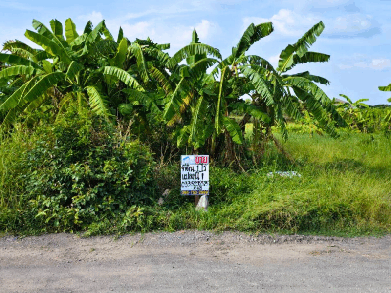 ขายที่ดินซอยคลองห้าตะวันตก 21 ปทุมธานี