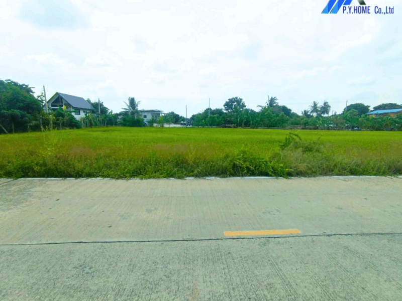 ขายที่ดินทำเลทอง บางหลวงใกล้ถนนราชพฤกษ์–346 ตัดใหม่