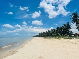 ขาย 4.9 ล้าน ลดราคาเหลือ 3 ล้านบาท ที่ติดทะเล สงขลา ระโนด 1ไร่ 24วา 081-3755244 เหมาะทำรีสอร์ต ร้านอาหาร บ้านพักส่วนตัว