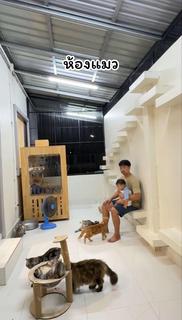 บ้านพร้อมที่ดิน 2ไร่1งาน (เจ้าของขายเอง)