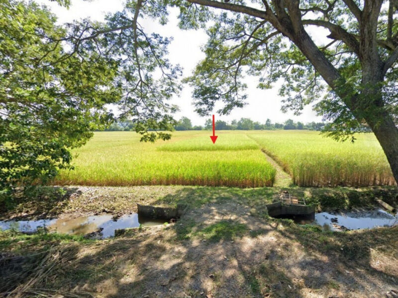 ขายที่ดินเชียงราย 5-0-96 ไร่ ใกล้เทศบาลตำบลเวียงเหนือ และโรงเรียนบ้านค่ายเจริญ