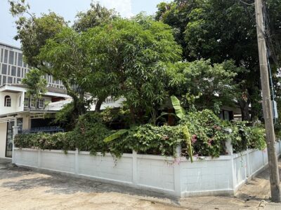 ขายบ้านเดี่ยว ย่านสะพานควาย หมู่บ้านจตุรมิตร ซอยประดิพัทธ์ 15