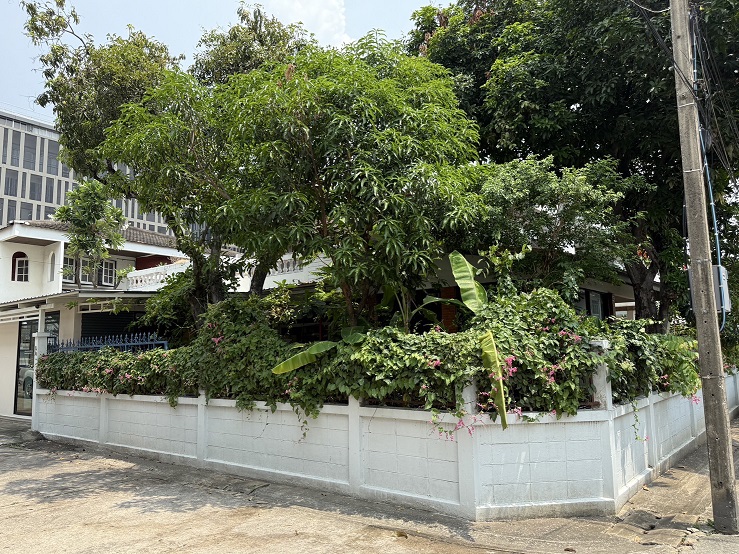 ขายบ้านเดี่ยว ย่านสะพานควาย หมู่บ้านจตุรมิตร ซอยประดิพัทธ์ 15