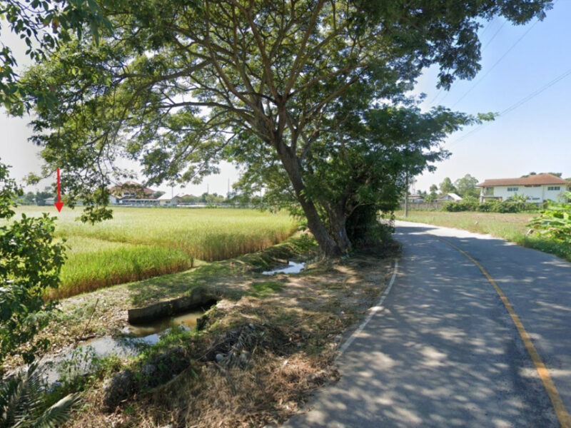 ขายที่ดินเชียงราย 5-0-96 ไร่ ใกล้เทศบาลตำบลเวียงเหนือ และโรงเรียนบ้านค่ายเจริญ