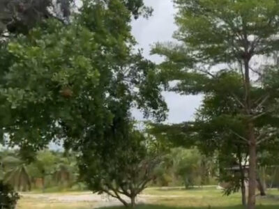 ขายที่ดินพร้อมรีสอร์ท 25-0-75.4 ไร่ (แบ่งขาย) ติดถนนพระรามที่ 2 จ.สมุทรสงคราม