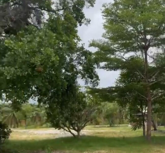 ขายที่ดินพร้อมรีสอร์ท 25-0-75.4 ไร่ (แบ่งขาย) ติดถนนพระรามที่ 2 จ.สมุทรสงคราม
