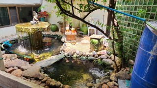 บ้านสวยพร้อมอยู่สองหลังใหญ่บนเนื้อที่กว้าง 550 ตารางวา ทำเลทองใกล้ถนนเพชรเกษมซอยหมอศรีใกล้โรงเรียนยอแซฟ