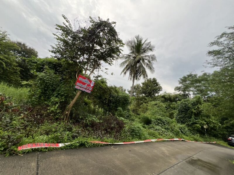ขาย ที่ดิน ขายด่วน ที่ดินสวยทำเลทอง ใจกลางแหล่งท่องเที่ยว สาริกา – นครนายกสาริกา นครนายก 6 ไร่