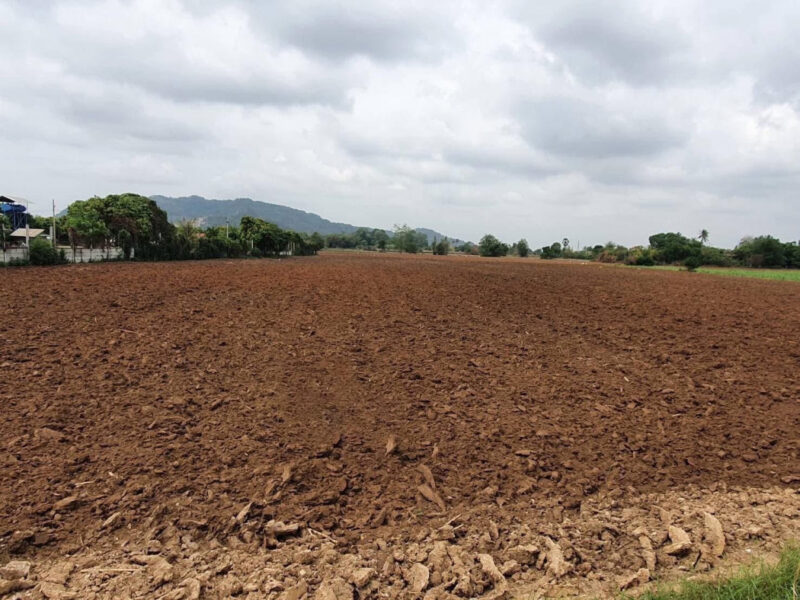 ขาย ที่ดิน สระบุรี เฉลิมพระเกียรติ เนื้อที่ 40 ไร่ 3 งาน