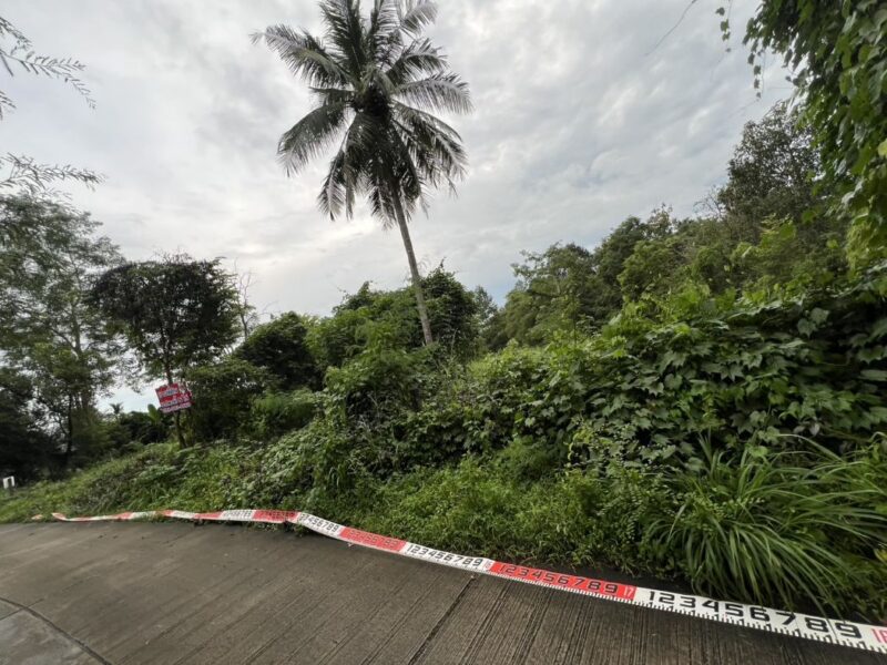 ขาย ที่ดิน ขายด่วน ที่ดินสวยทำเลทอง ใจกลางแหล่งท่องเที่ยว สาริกา – นครนายกสาริกา นครนายก 6 ไร่