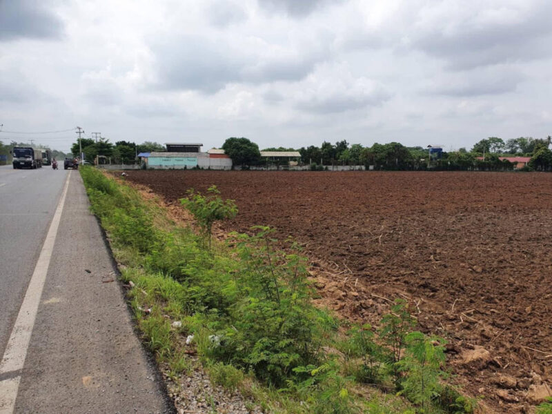ขาย ที่ดิน สระบุรี เฉลิมพระเกียรติ เนื้อที่ 40 ไร่ 3 งาน