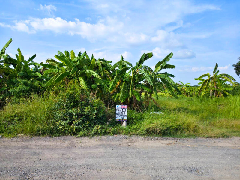 ขายที่ดินซอยคลองห้าตะวันตก 21 ปทุมธานี