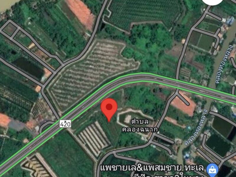 ต้องการขายที่ดิน ด่วน!!! อ.เมืองสุราษฎร์ธานี (เจ้าของขายเอง)