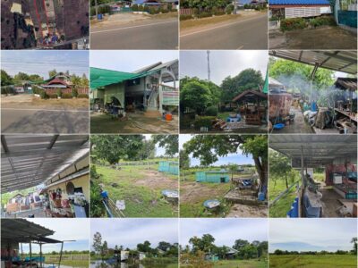 ขายบ้านพร้อมที่ดิน 5 ไร่ (พื้นที่บ้าน และทุ่งนา บ้านสวน)