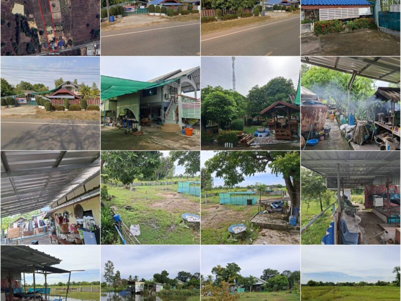 ขายบ้านพร้อมที่ดิน 5 ไร่ (พื้นที่บ้าน และทุ่งนา บ้านสวน)