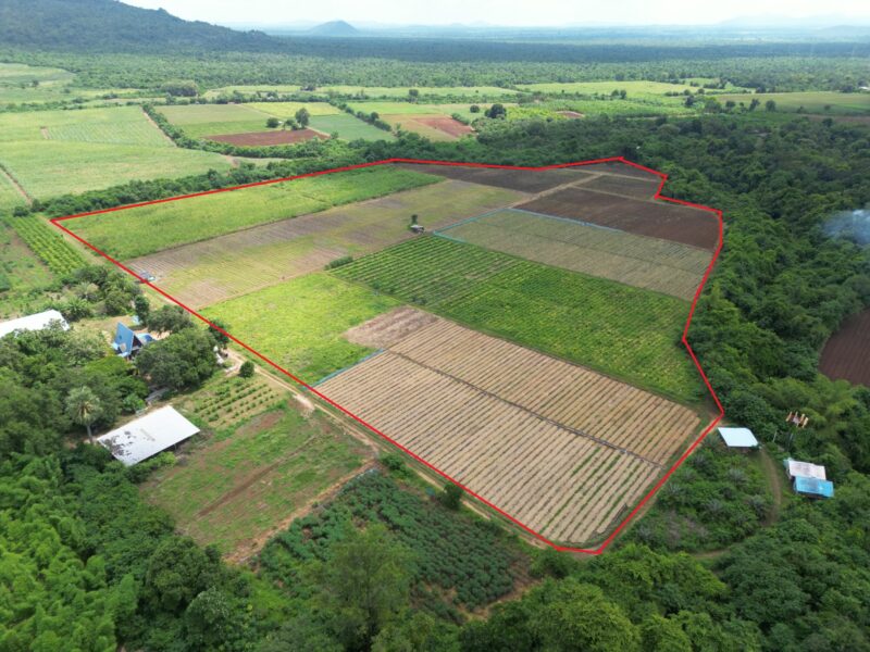 ขายที่ดิน 42 ไร่ วังดง กาญจนบุรี ติดลำห้วย วิวเขาสวย อากาศดี เหมาะสร้างบ้านพัก รีสอร์ต หรือโฮมสเตย์ธรรมชาติ