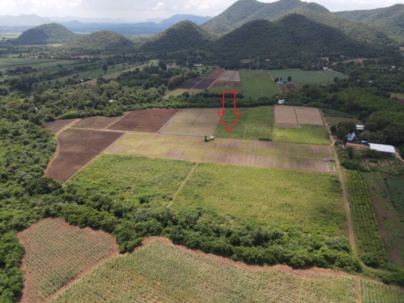 ขายที่ดิน 42 ไร่ วังดง กาญจนบุรี ติดลำห้วย วิวเขาสวย อากาศดี เหมาะสร้างบ้านพัก รีสอร์ต หรือโฮมสเตย์ธรรมชาติ
